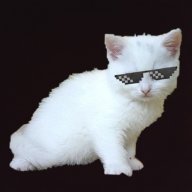 Swaggy_Cat