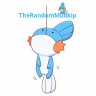 TheRandomMudkip